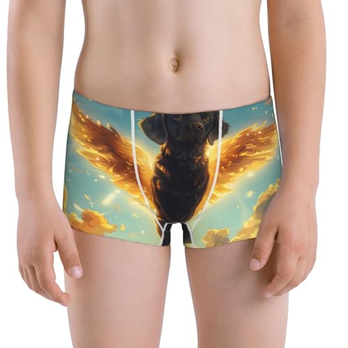 Boys' Cotton Boxer Brief Soft Underwear-Golden Cloud Winged Dog