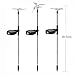 VIBELITE Solar Garden Lights Outdoor,Solar Garden Stake Lights, Decorative Lights Hummingbird Butterfly Dragonfly for Path, Yard, Lawn, Patio [Set of 3]
