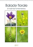 Calvendo Verlag GmbH