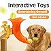 Automatic Dog Ball Launcher Toy, Interactive Adjustable Height Dog Ball Thrower for Indoor/Outdoor Play, Tennis Ball Launcher for All Dog Sizes, Energy Release & Training Tool for Door/Post/Table Use