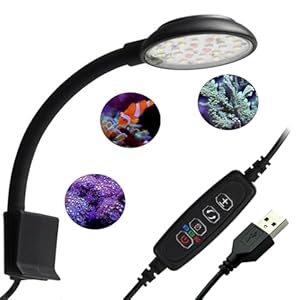 GERUI Aquarium Licht, Clip-on Aquarium Lampe mit Weiß und Blau Licht, 7W für 20-40 cm Aquarien mit Timer und Memoryfunktion Aquarium Beleuchtung geeignet für Wasserpflanzen und Süßwasser Aquarien