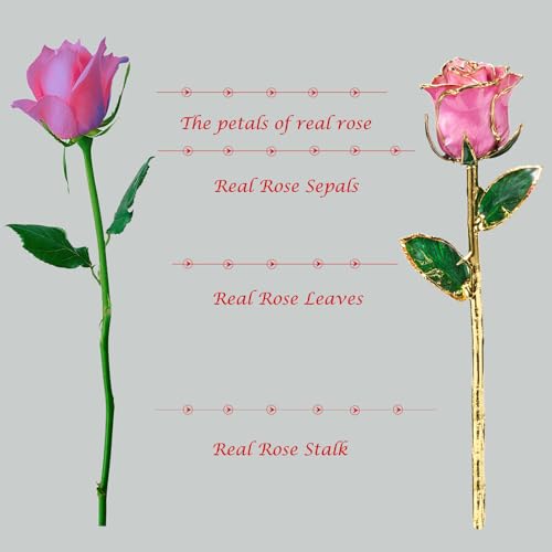 Image of Anniversary Rose Gift for Her, Gold Dipped Rose is Attractive Luster and Natural Shape, Best Gifts for Anniversary Wedding Valentines Day (Pink Original Rose with Stand)