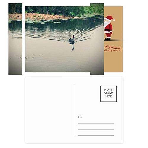 Cartes postales Père Noël collection d'art Wild Ducks Lake lot de 20