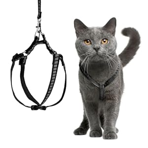 Cat Harness and Leash Set with Reflective Strip, Cat Harness Escape Proof w/Cat Leash, Step-in Adjustable Travel Harness for Cats, Indoor Outdoor Cat Harness, Easy-to-Put-On Kitten Harness