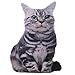 ZZM Almohada en forma de gato de animales 3D, almohada de peluche cojín decorativo sofá silla juguete de peluche regalos fiesta Navidad Año Nuevo decoraciones (C)