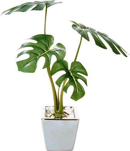 ポピー 造花の観葉植物 モンステラ GLA-1173