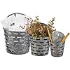 Wall Bucket Set Rustic Olive