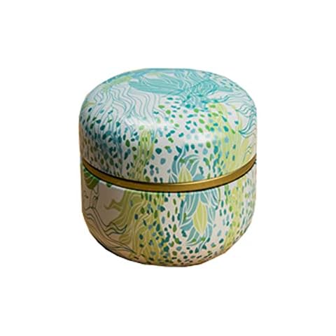 OWLONLINE Set of 2 Exquisite Mini Portable Tea Jar Tin Tea Cans Candy/Coffee/Tea/Kitchen Spice Storage -Capacity 20 Grams, B4 Cover