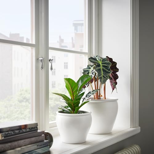 Pot de fleurs ProTuning AMBRARÖNN blanc 15 cm pour protéger vos plantes du gel