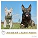 PiuPet® Hundehalstuch I 2er Set Hundehalstücher I Hundehalstuch große Hunde I Halstuch Hund I Stylisches Bandana große & kleine Hunde | Hundebekleidung & Zubehör I Schwarz/Grün | (S) 58x40x40cm