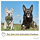 PiuPet® Hundehalstuch I 2er Set Hundehalstücher I Hundehalstuch große Hunde I Halstuch Hund I Stylisches Bandana große & kleine Hunde | Hundebekleidung & Zubehör I Schwarz/Grün | (S) 58x40x40cm
