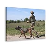 Dans les options de couleur, vous pouvez choisir un style encadré et un style sans cadre. Commandez selon vos besoins.