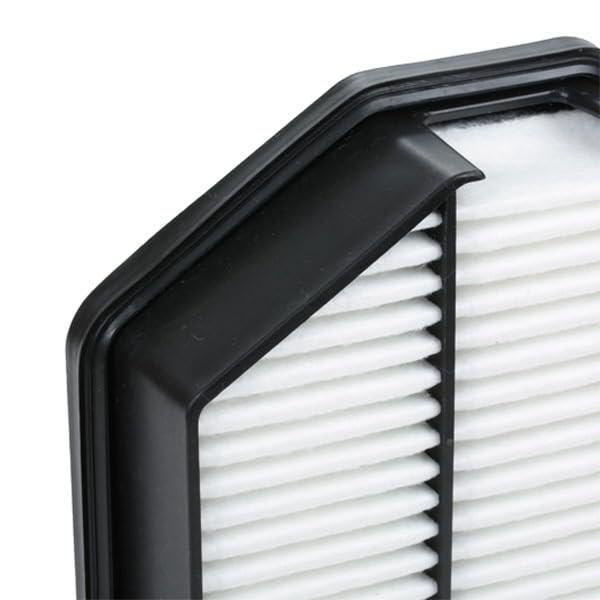 RIDEX 8A0184 Filtro Aria Motore Ricircolo Per Hyundai E KIA - 259x164x55 Mm - 2