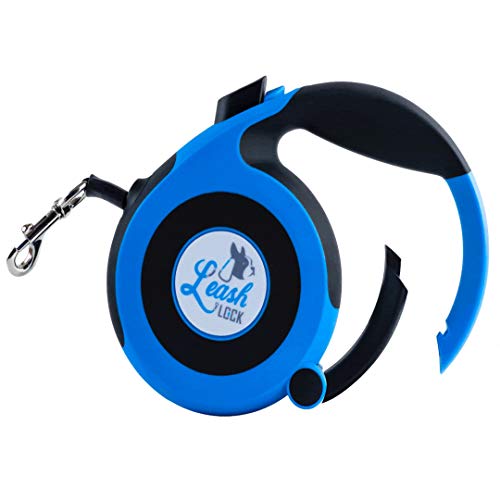 The Best Petsmart Bike Leash Reviews with Buying Guide in 2022