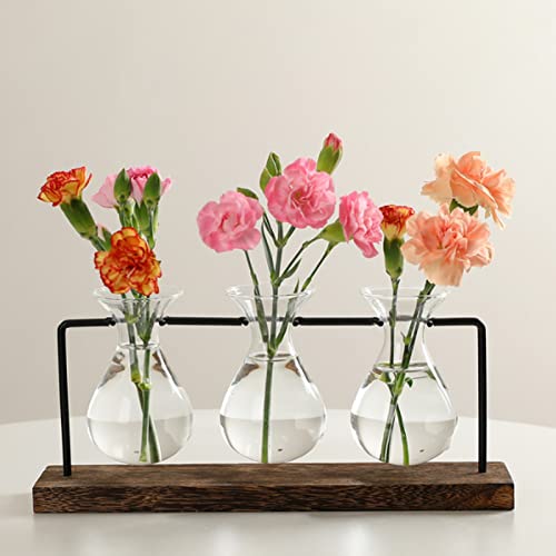 Plant Terrarium with Wooden Stand Innjoii, Propagation Station with 3 Hyacinth Vases - Image 3