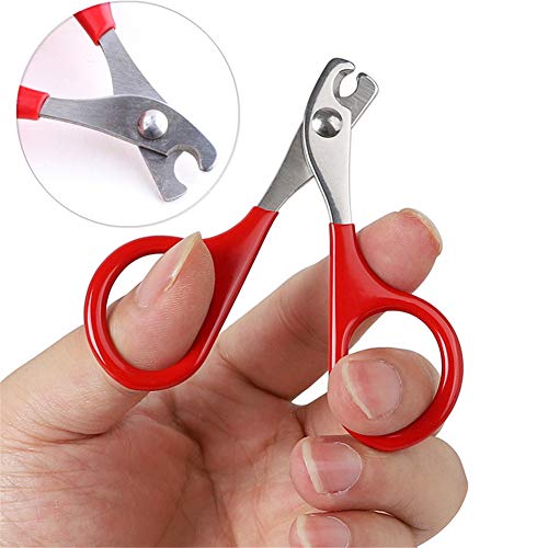 Jieqing Tagliaunghie Gatto Taglia Unghie per Cane