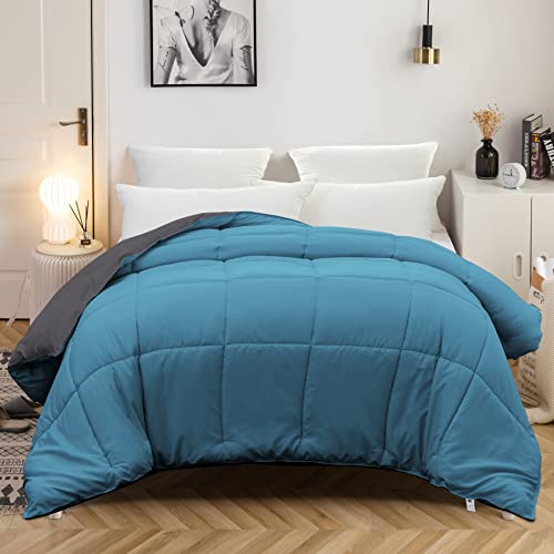 MOHAP Couette Bicolore 4 Saisons 200x200cm Hypoallergénique Lac Bleu + Gris Foncé Couette de Lit Réversible 2 Personnes Edredon