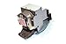 eReplacements Compatible FP Lamp Mitsubishi Accessory (VLT-EX240LP-ER)