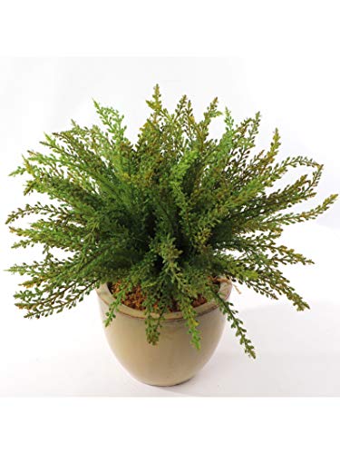 Artificial Bush for Indoor Home Décor or Outdoor Plant | Cedar Bush | 17