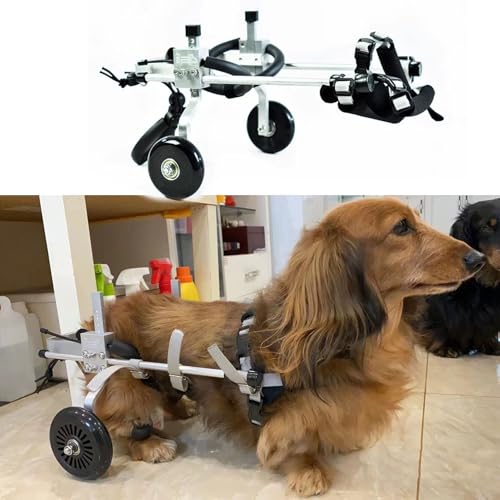 Dog Wheelchair for Mini Dachshund, 2 Wheels Pet Mobility Aid for Back Legs, Adjustable Doggie Rehabilitation Leg Brace