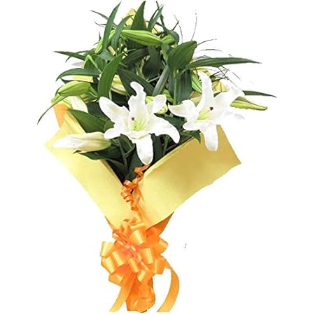 Amazon 花 花束 生花 カサブランカ花束 誕生日プレゼント 花 プレゼント 女性 誕生日 フラワー サンモクスイの手作り お届け日時指定できます 花束 オンライン通販