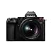 Panasonic Lumix S5 Mark II The Best Value New Full-frame Camera This New Model Features The Long-awaited Phase-detect Autofocus For Both Photo & Video Capture With The Classic L Mount🤗, 24.0 Megapixels - View #7