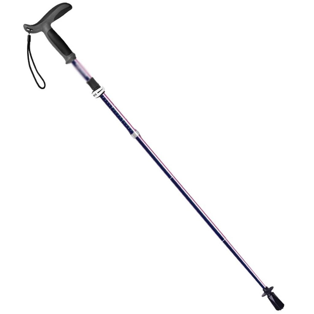 Ultralight Carbon Fiber Trekking Poles, with Knob Locking System, Foldable and Compact Walking Sticks, Trail Running Poles for Beginners