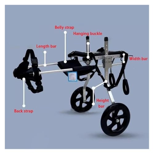 Chariot de rééducation pour chien, remède à la paralysie arrière - 3