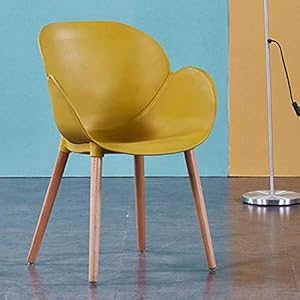 n/a Nordic Moderne Minimaliste Accueil Chaise Chaise Salle à Manger Chambre Bureau Dortoir Coiffeuse Chaise Ins Vent (Color : G)