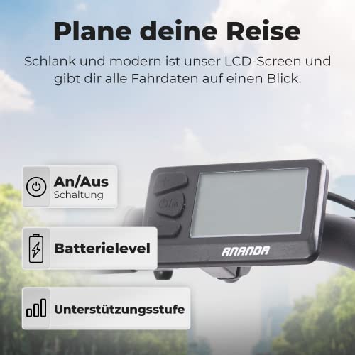 Tretwerk Pedelec, 28 inch, e-bike, dames met fietsmand en 7 versnellingen, Shimano Nexus naafschakeling, elektrische… - Afbeelding 7