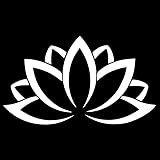 JIFENLI