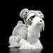 Peluche Simulazione Bambola Cane Carino Standard Schnauzer Czech terrier Morbida vita reale Animale Schnauzer in miniatura Giocattolo di peluche Modello regalo per bambini