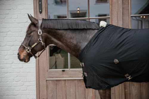 Couverture Kentucky pour protéger le cheval au box taille 130 180