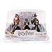HARRY POTTER Funko Hero World Series 7, Ron Weasley, Hermione Granger, Albus Dumbledore & Minerva McGonagall 4-Inch Vinyl Figure 5-Pack