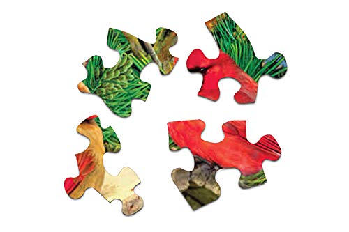 Springbok 33-50043 S 350 Piece Jigsaw Puzzle Feathered Retreat thumb #2
