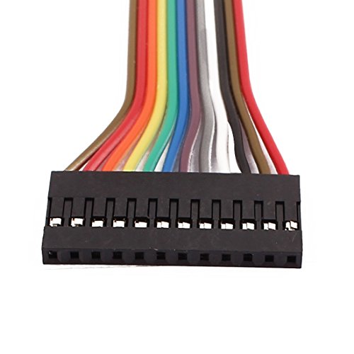 Aexit 5 Pcs Cable Jumper con Conectores 2.54mm 12P miniatura 2