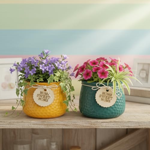 Image of Xtore Vibrant Textured Ceramic Planter Set of 2 with Wooden Tag Accent | Rustic Decorative Pots for Indoor Plants, Desk & Shelf Styling (Pack of 2, Planter only)