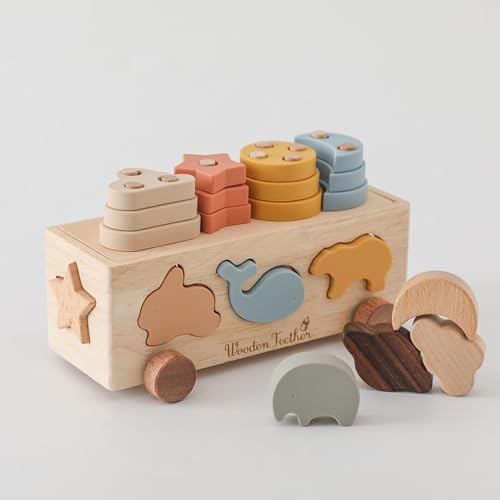 WOODEN TEETHER Shape Sorter Toy for Toddlers 1-3 - Montessori Multiple Stack Toy Car, Wooden & Silicone Stacking Sorting Toys, Preschool Learning, 1-2 Year Old Boys Gifts