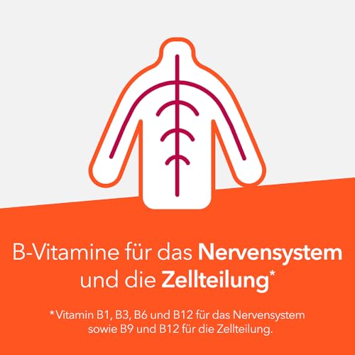Neuropax-ratiopharm® forte – B-Vitamine zur Unterstützung des Nervensystems*. Mit Uridinmonophosphat (UMP). Gut verträglich und nur 1 Kapsel täglich, 80 Kapseln