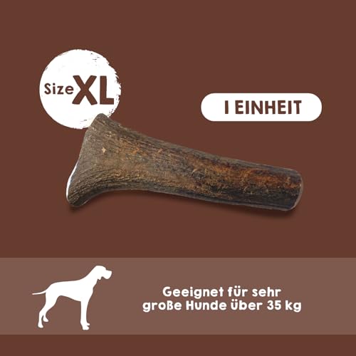 MAIKAI Hirschgeweih für Hunde Größe XL – 100% Natürlich – Unzerstörbares Kauspielzeug – Hundeleckerli & Kauartikel – Langlebiger Kauknochen und Kaustangen – Ideal für Welpen