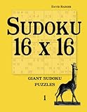 Sudoku 16 x 16: giant sudoku puzzles 1