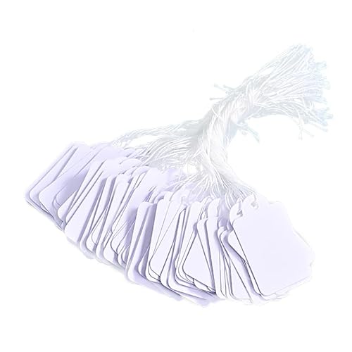 500Pcs Etiquette Prix, 24 * 15 mm Étiquette Blanches avec Ficelle et Boîte Blanche, Étiquettes de Prix en Papier Vierges Inscriptibles, Etiquette Vetement Bijoux Cadeaux