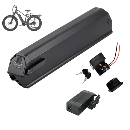 Bici elettriche più vendute: ecco quali sono HJGHY 48v 17.5ah, Batteria agli ioni di Litio per Bici elettrica...
