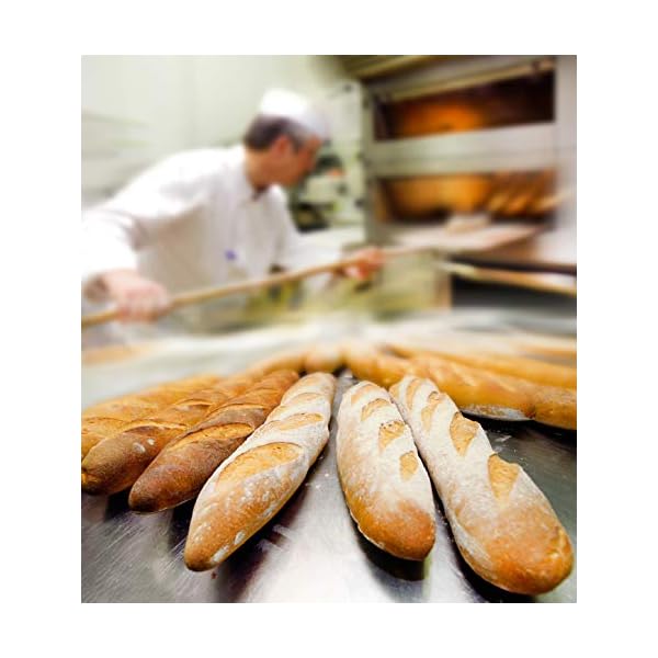 Giusto's VitaGrain High Performer High Protein Unbleached Bread