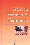 African Women and Feminism: Reflecting on the Politics of Sisterhood