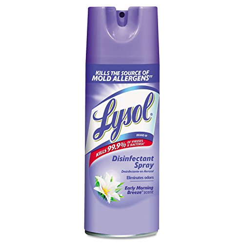 Lysol Disinfectant Spray, Early Morning Breeze, 12.5 oz