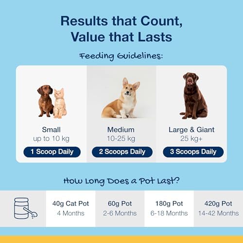 ProDen PlaqueOff 60g Dental Powder for Dogs - 100% Organic 6-Month Supply | VOHC Accepted, Clinically Proven, Vet Recommended, Freshens Bad Breath, Helps Reduce Plaque & Tartar, Prevents New Plaque - View 8