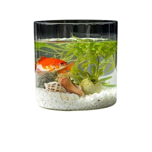 otoye eʃvX`bN OpANe |{{E ^ϗtAp (gybg~)