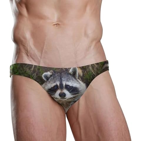 Dallonan Men Swim Brief Bikini Lovely Raccoon Hug Beach Bikini for Men Swim Underwear Large Cover