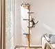 Katzenbaum Wand Groß 210cm, Kratzbaum Katzen Kletterwand 5 Eben aus Natürliches Holz mit Weichem Grauem Plüschstoff, Katzenkratzbaum für Katzen zum Klettern, Kratzen und Spielen